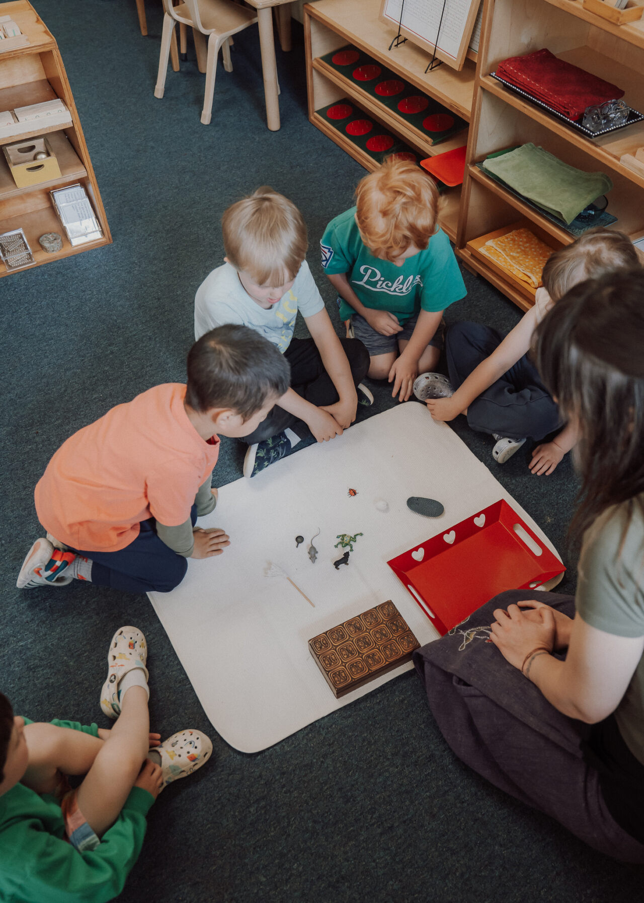 A small-group lesson on the classroom rug