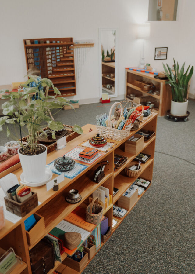 Plants and prepared materials on the shelf