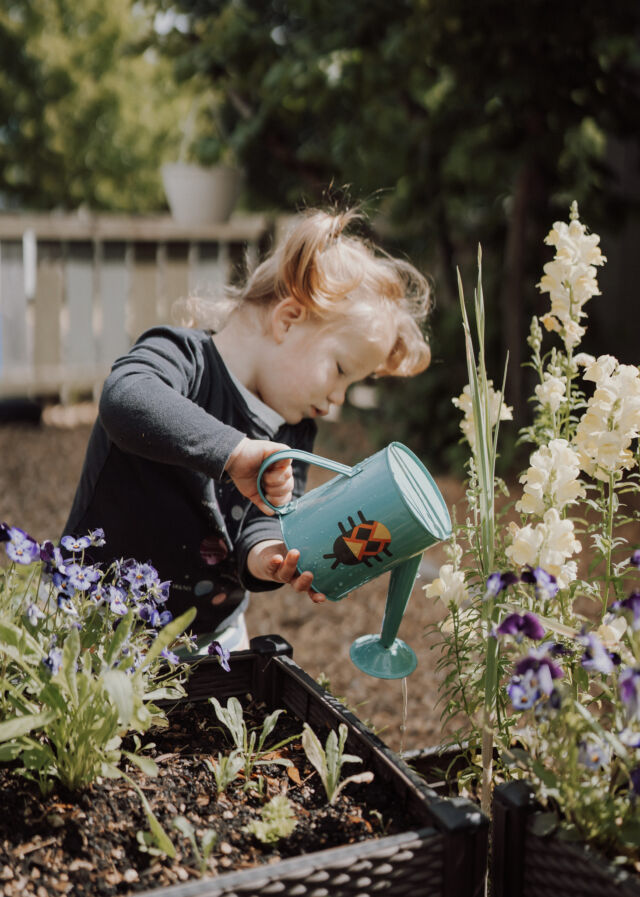 Watering the flowers with a little blue can