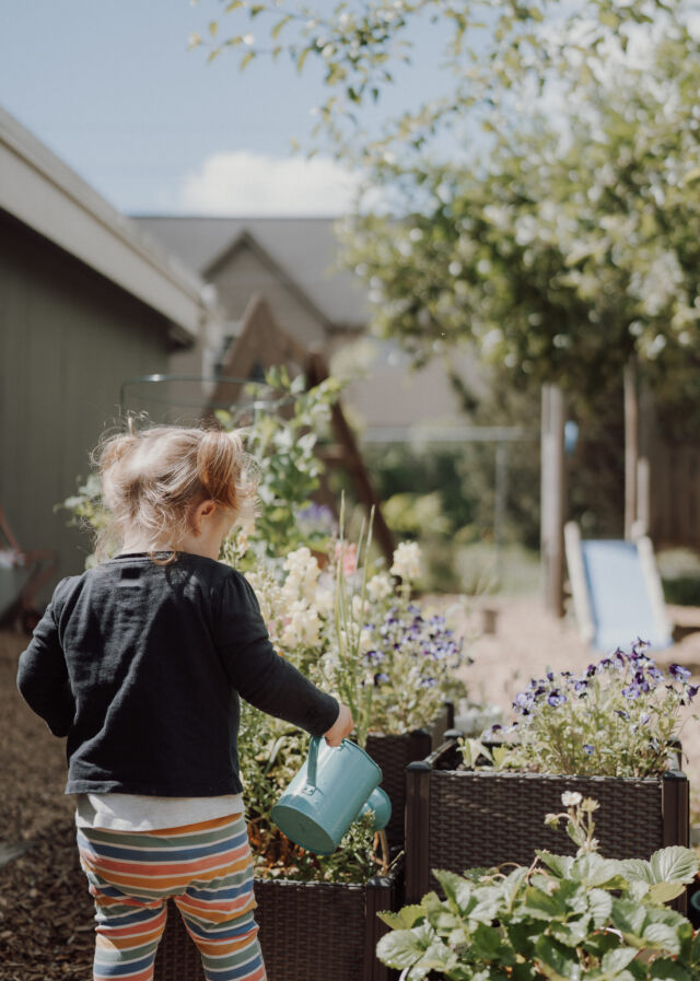 Watering the flowers with a little blue can