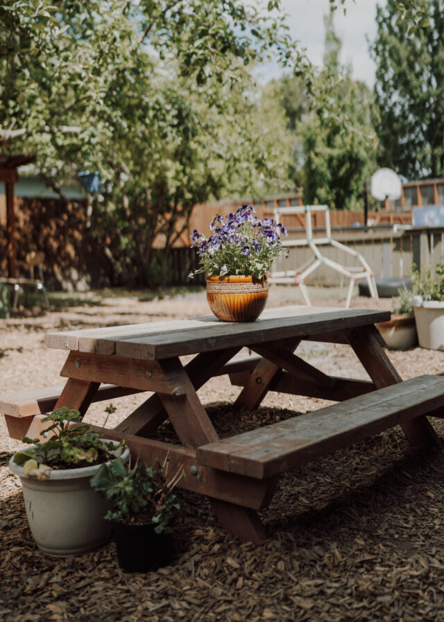 The picnic table among the planters