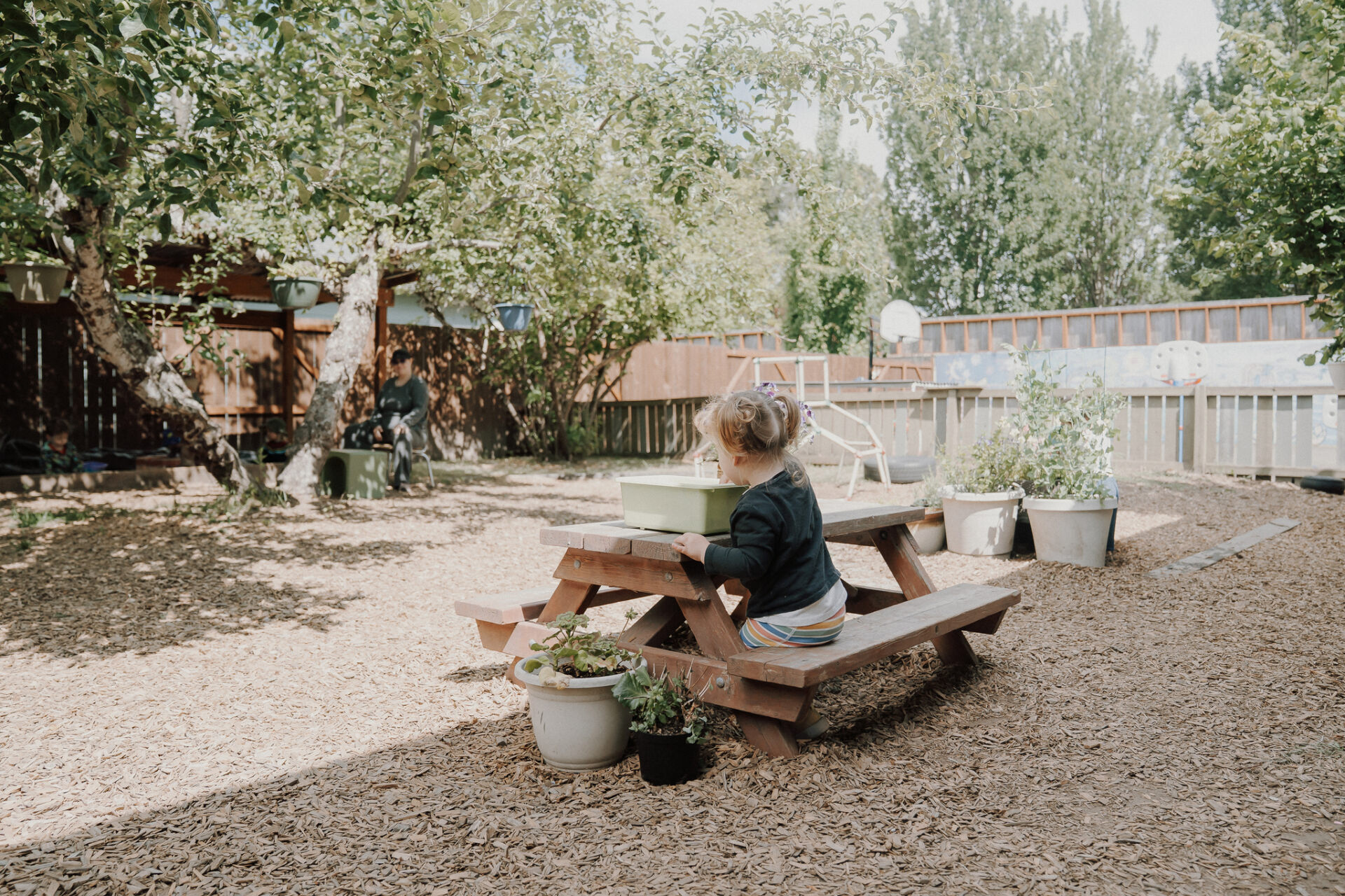 A quiet moment at the picnic table