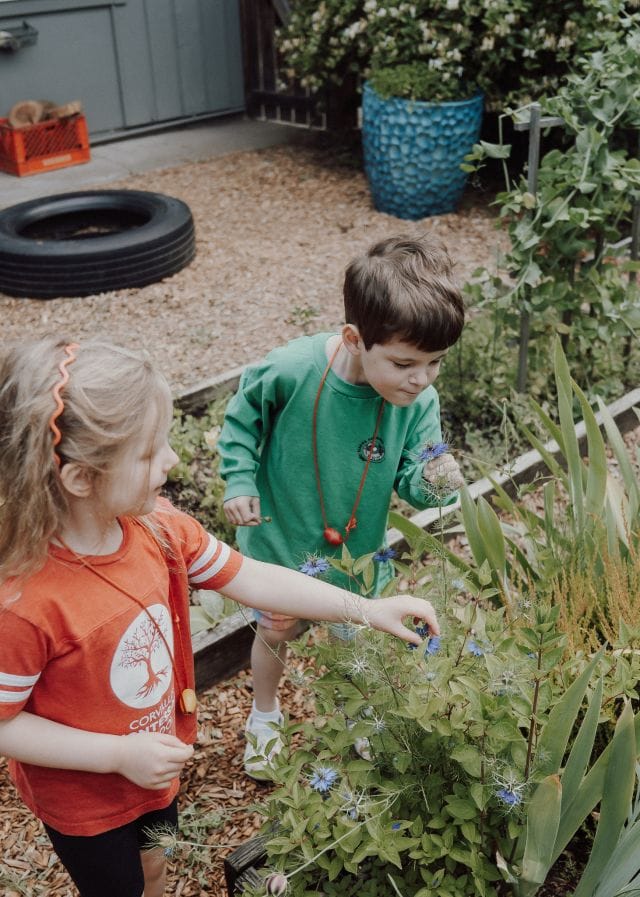 Choosing flowers together in the raised garden beds